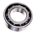 High Quality 562924/GNP4 Double Row Poly Cage Angular Contact Ball Bearing